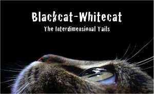blackcatwhitecat