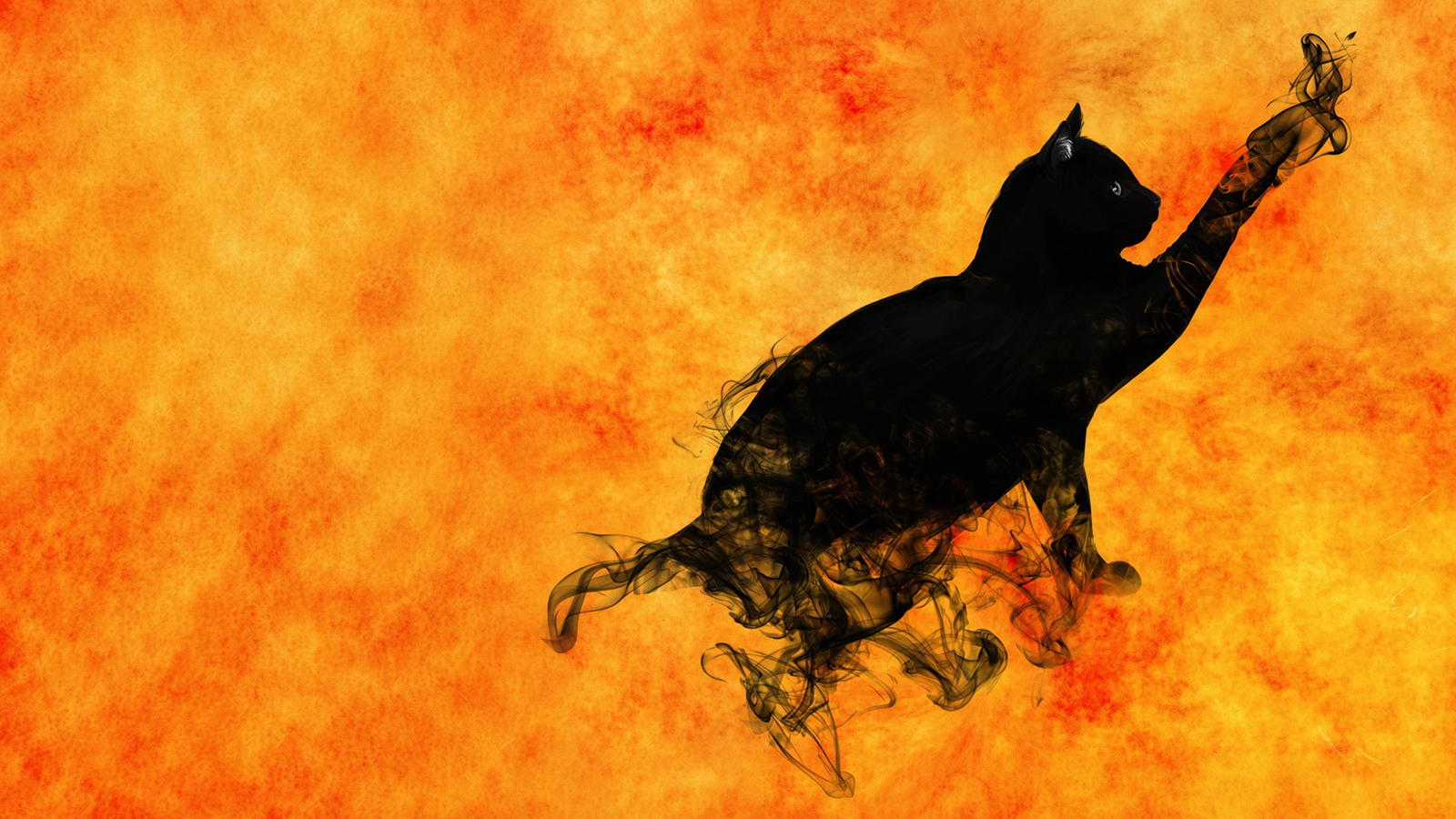 A black cat drawn in smoke, one paw raised, against a field of burning orange.